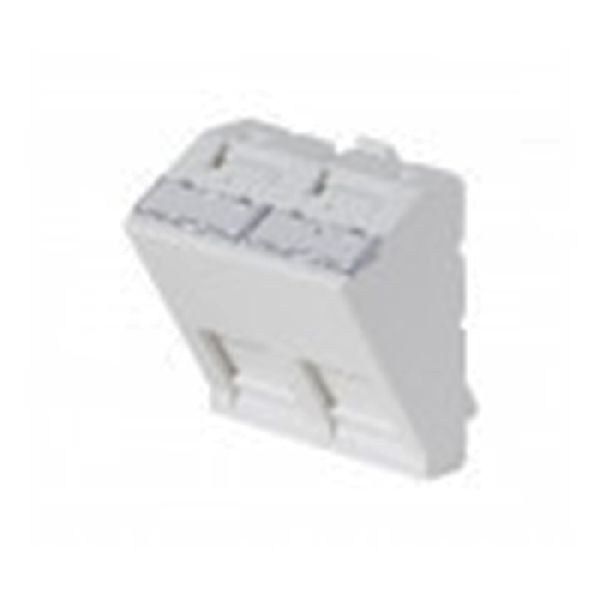 Exertis Connect 911711 Frontplatten-Einsatz 45 x 45 mm für 2 Keystone-Module, 30°, signalweiß RAL 9003