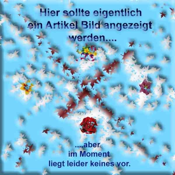 Exertis Connect 395309 LWL Kupplung SC APC / SC APC, Duplex, Monomode OS2