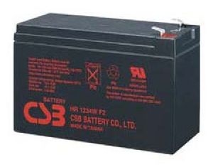 Riello 20213 Riello Akku HR 1234W F2 (9Ah)