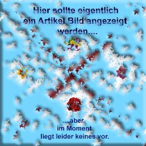 Exertis Connect 395309 LWL Kupplung SC APC / SC APC, Duplex, Monomode OS2