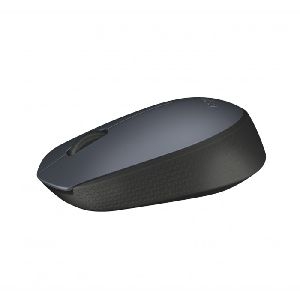 Logitech 910-004642 Logitech Maus M170, wireless, 1000 dpi, grau
