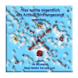 Exertis Connect 845076 Patchkabel Cat. 6A, S/FTP, wasserdicht, schwarz, 15,0 m