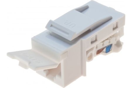Exertis Connect 272883 Anschlussbuchse RJ45, Cat.6 UTP, Keystone-Format